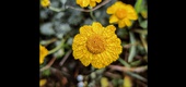 Gallery of Photography by Ahmet Erdem - Turkey