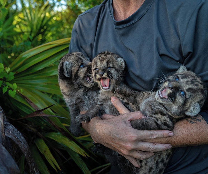 Gallery of the best World Press Photos - 2021