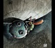 Gallery of the best Cartoon in the world 101