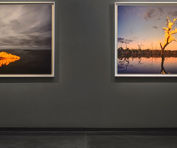 Hamiltons Gallery exhibits a new series by Murray Fredericks