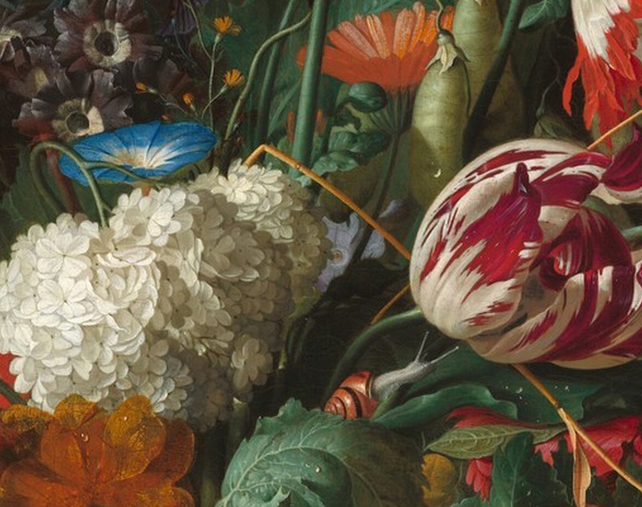 A celebration of the beauty of flowers in the works of Jan Davidsz de Heem