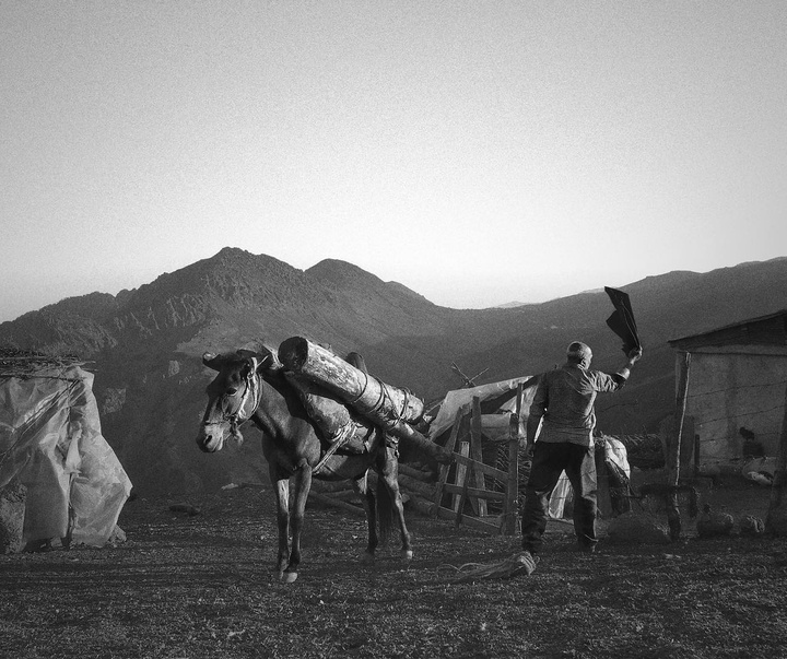 Gallery of photos by Hojjat Hamidi from Iran