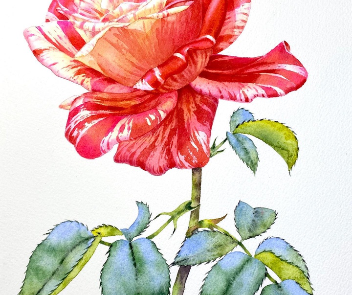 Gallery of Watercolor painting by Kitipong Maksin-Thailand