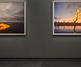Hamiltons Gallery exhibits a new series by Murray Fredericks