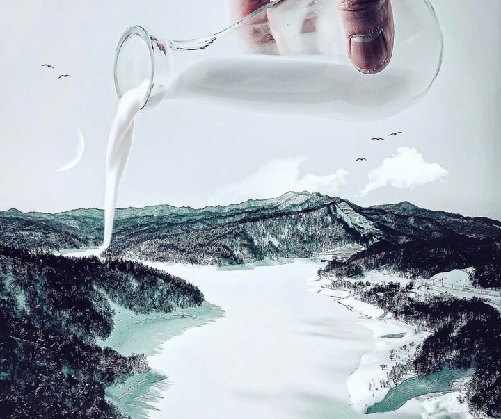 Gallery of the best Visual Arts in the World2