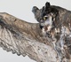 Gallery of Sculpture by Yu Seto - Japan