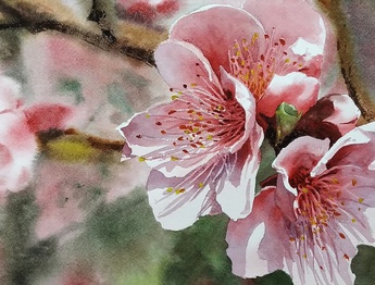 Gallery of Watercolor painting by Diego Eguinlian- Argentina