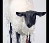 Gallery of Sculpture by Beth Cavener - USA