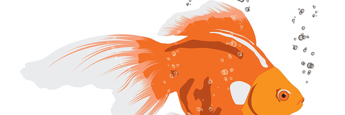 Gallery of illustration by Paul Garland