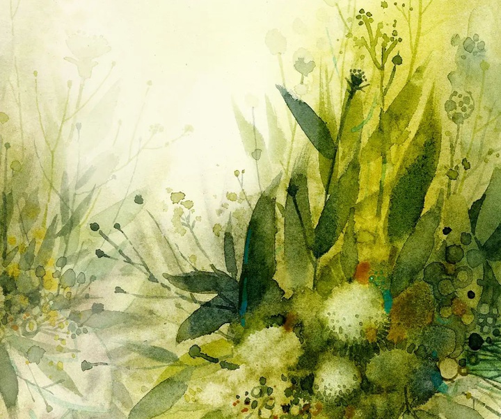 Gallery of Watercolor painting by Antonio Ortega Perez-Spain