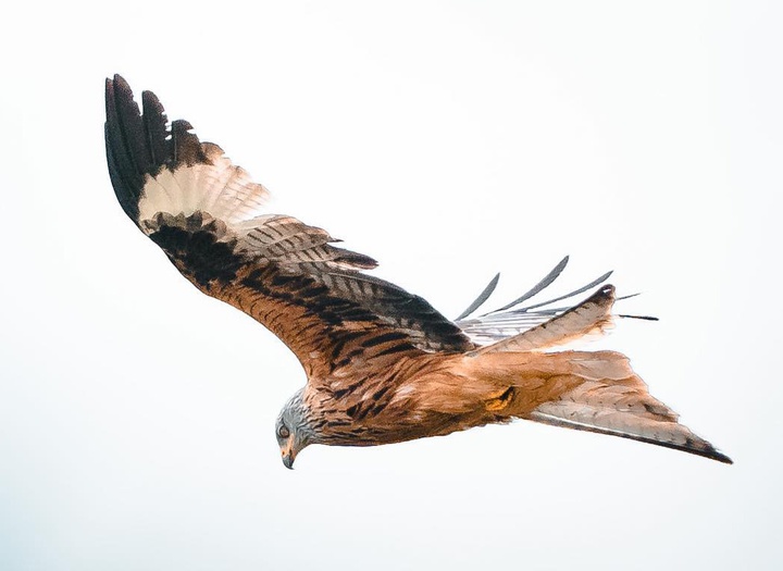 Gallery of Photography by Marius Krey - Germany