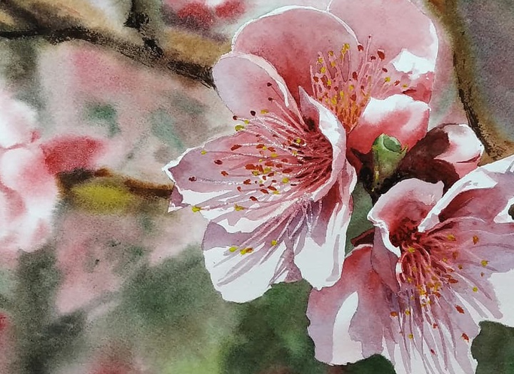 Gallery of Watercolor painting by Diego Eguinlian- Argentina