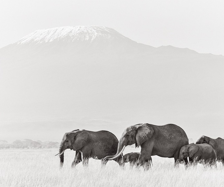 Gallery of Photography by Drew Doggett - USA