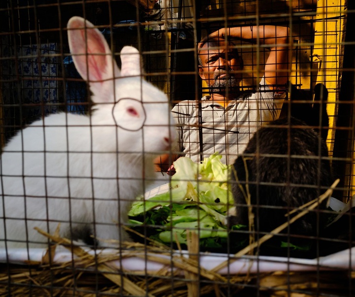 Gallery of Photography by Subhran Karmakar-India