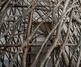 Gallery of Sculpture by Sol Bailey Barker - UK