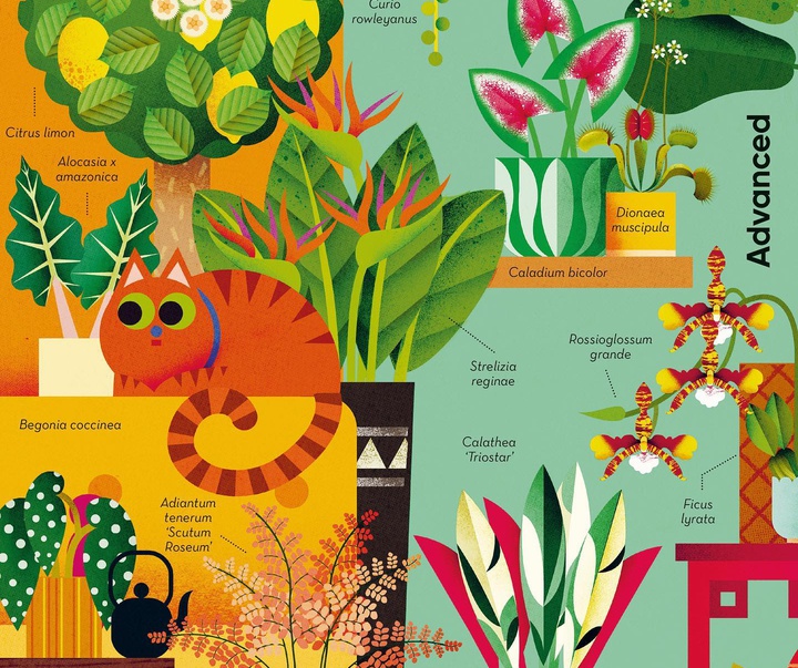Gallery of Illustrations by Philip Giordano - Italy