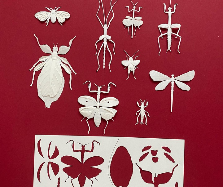 Gallery of illustrations by Lucila Biscione - Argentina