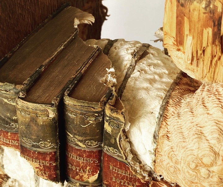 Maskull Lasserre