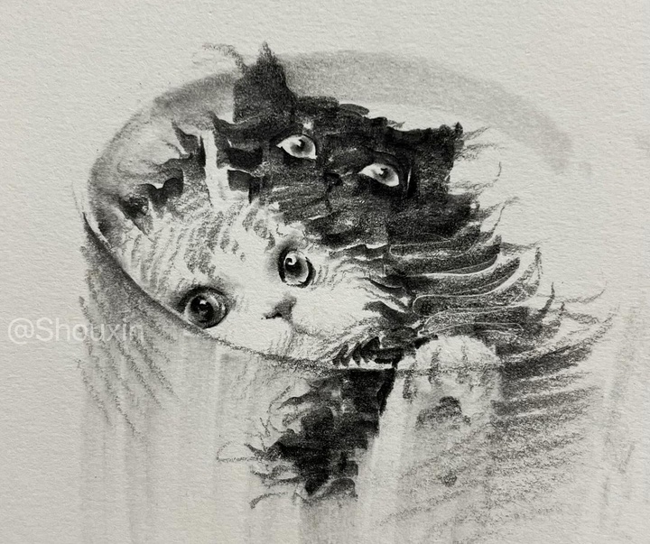 Gallery of Drawing by Shou Xin - China