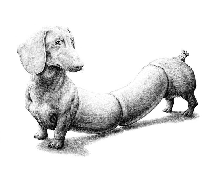 Gallery of Illustration by redmer hoekstra - Netherlands