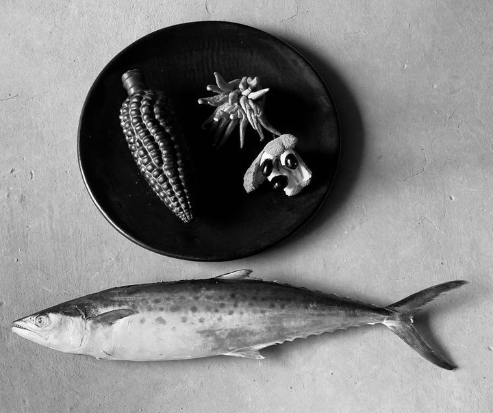 Gallery of Photography by Flor Garduño - Mexico