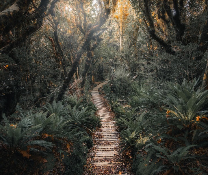 Luke Stackpoole