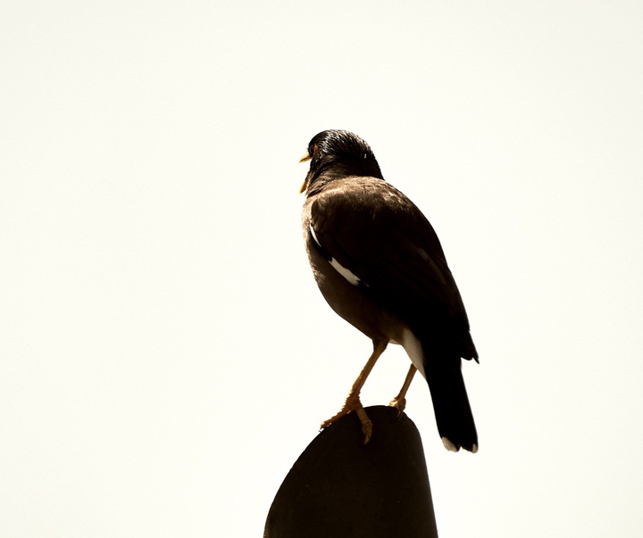 Gallery of photography by Hany Hossameldin - Egypt