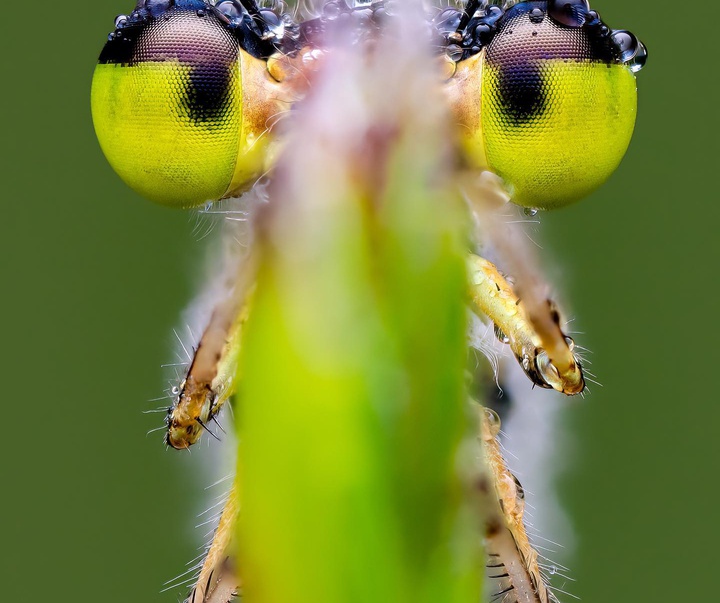Gallery of Photography by Ben Salb - USA