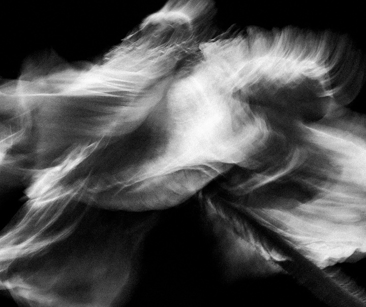 Joe Clarke
