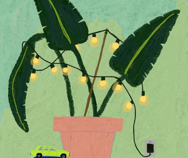 Gallery of Illustration by Anne Bentley - USA
