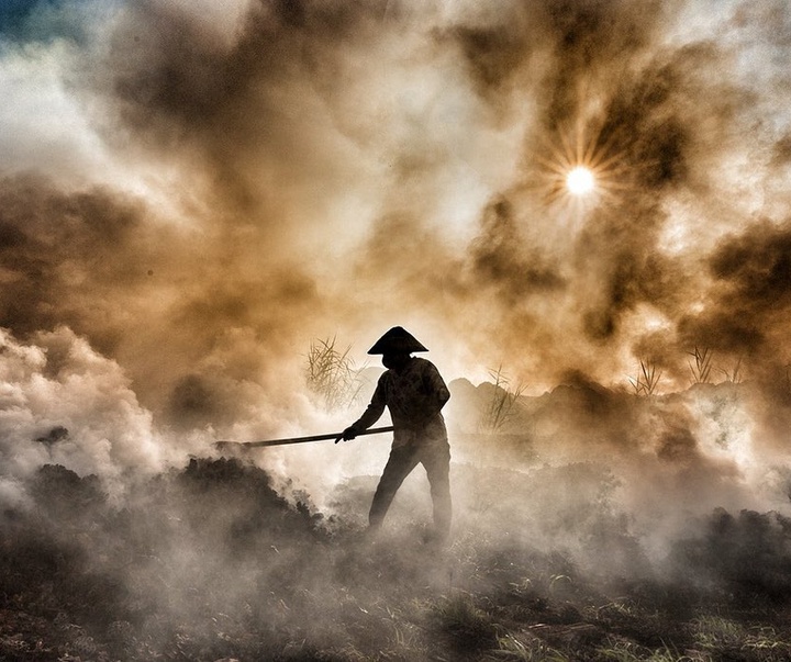 Gallery of Photography by Tran Tuan Viet - Vietnam