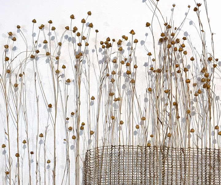 Gallery of Modern Art by Alice Fox - UK