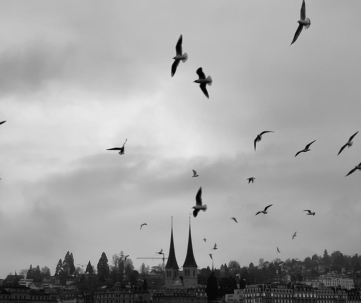 Gallery of Photography by Flor Garduño - Mexico