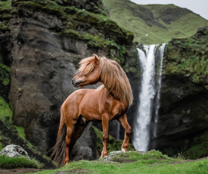 Gallery of photography by Liga Liepina - Iceland