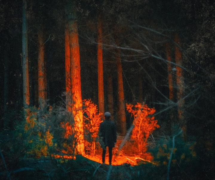 Gallery of Photography by Josiah Farrow - USA