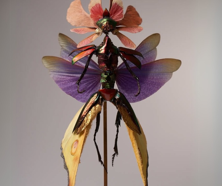 Gallery of Sculpture by Cedric Laquieze - USA