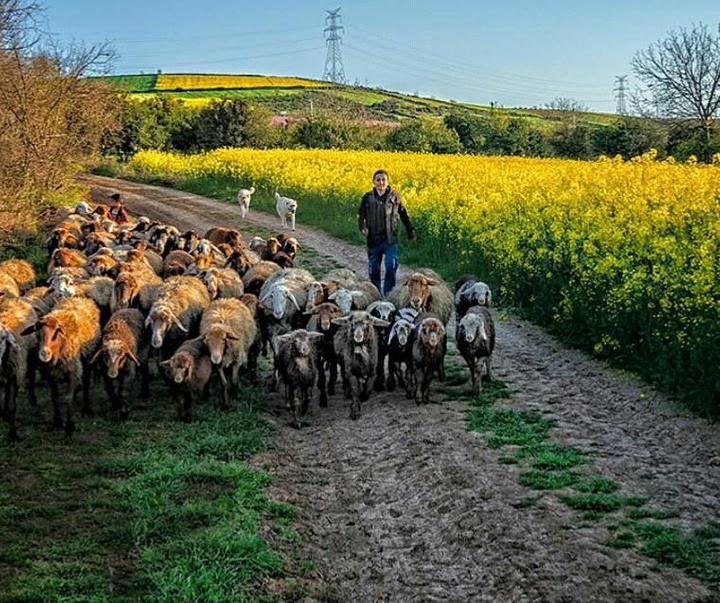 Gallery of photography by Bahman Azizi- Iran