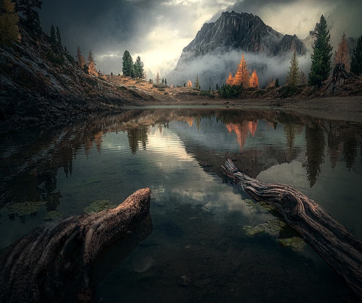 Gallery of Photography by Max Rive - Netherlands