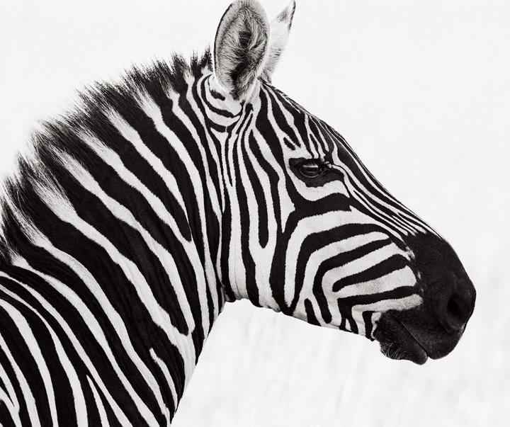 Gallery of Photography by Drew Doggett - USA