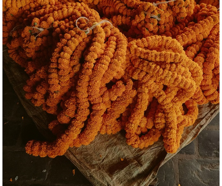 Gallery of Photography by Michelle Ospino - Colombia