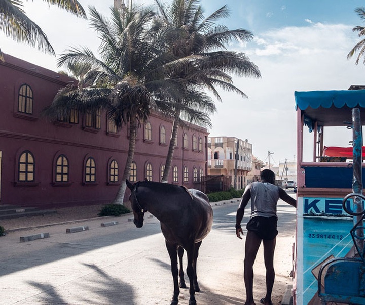 Gallery of photography by Skander Khalif-Tunisia
