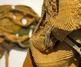 Gallery of Sculpture by Amy Usdin - USA