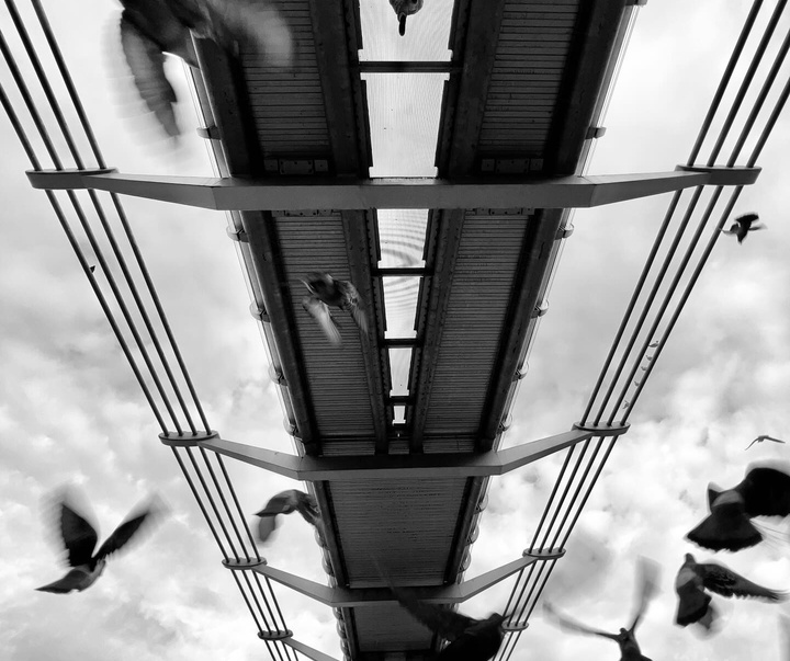 Gallery of Photography by Dimpy Bhalotia - India
