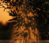 Gallery of Photography by Joe Clarke - UK