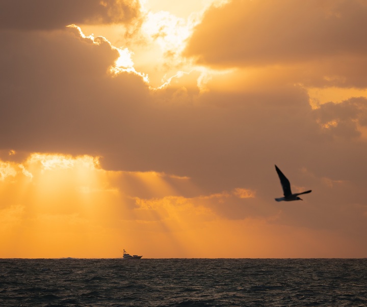 Gallery of Photography by Chris Ha - USA