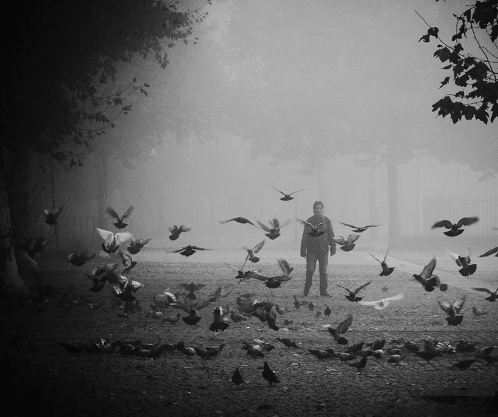 Gallery of Photography by João Cabral - Portugal