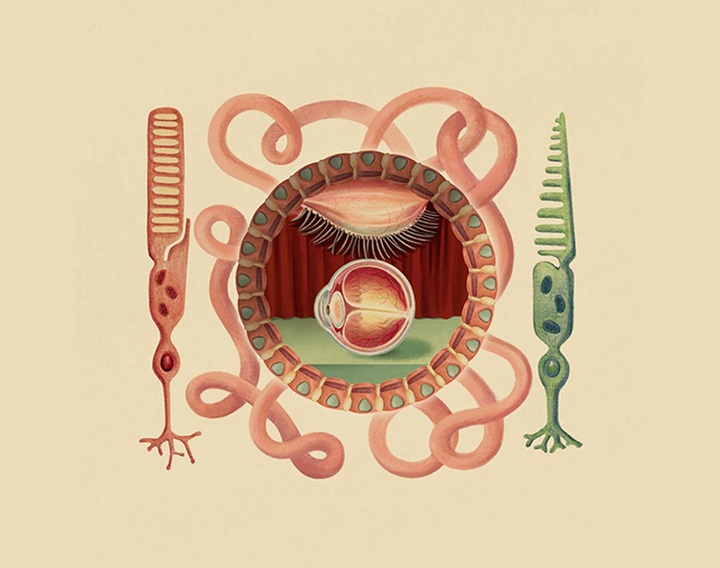 Gallery of Illustration by Ada Zejun Shen - USA