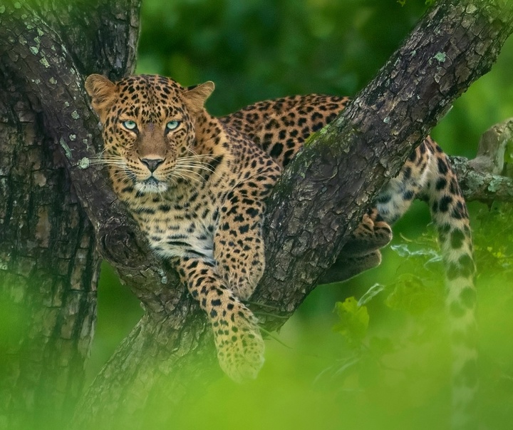 Gallery of Photography by Mithun Hunugund