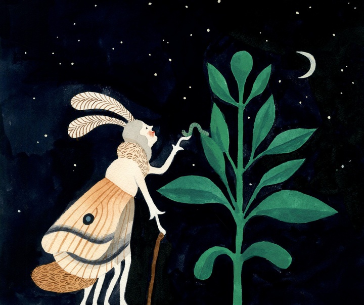 Gallery of Illustration by Carson Ellis - USA