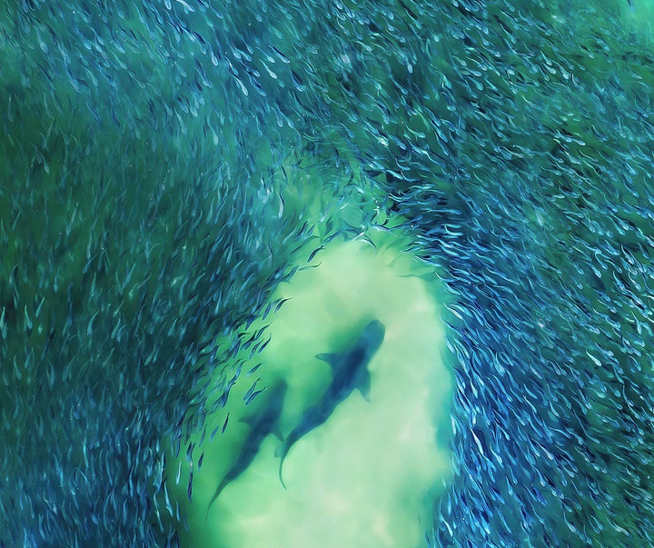 Gallery of Photography by Joanna Steidle - USA